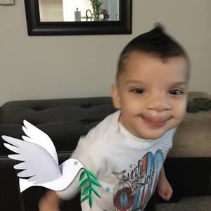 Meet your Posher, Armando